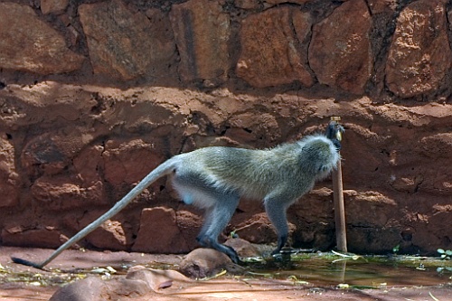 Kenia (281)